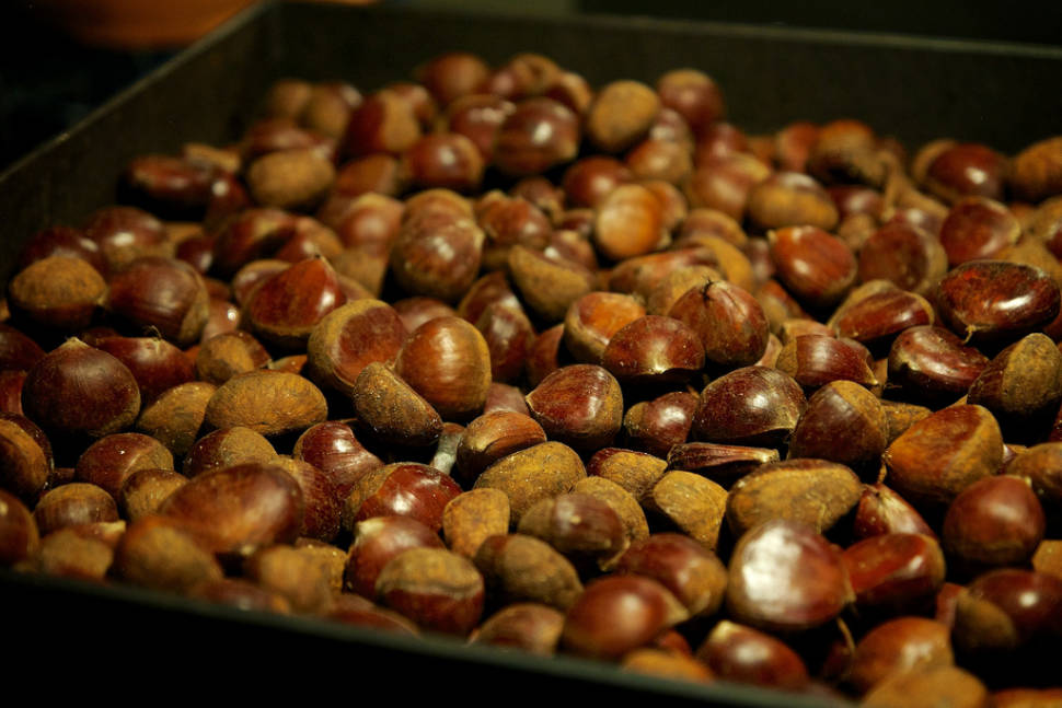Best time for Sweet Chestnut Season in England