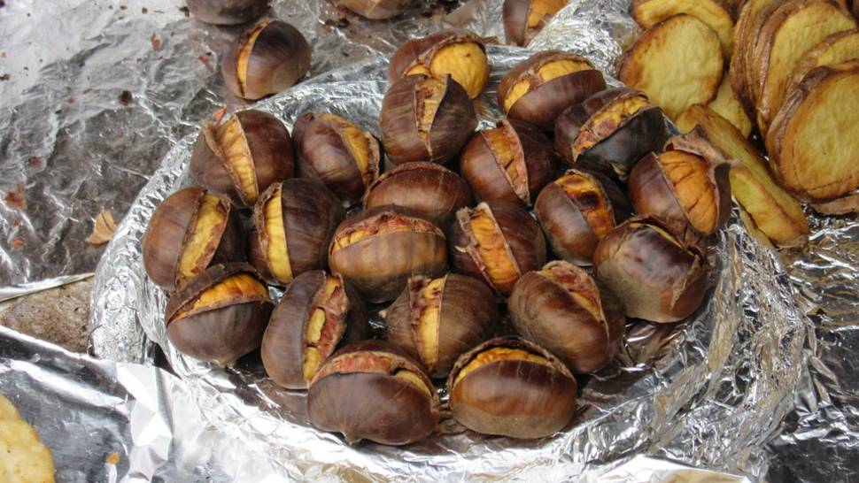 Sweet Chestnut Season in England - Best Time