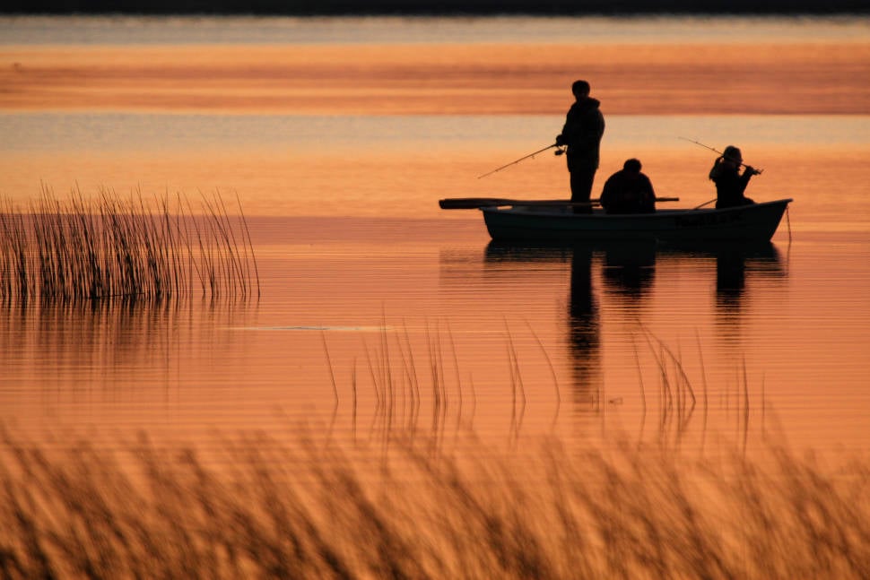 Fishing in Estonia - Best Season