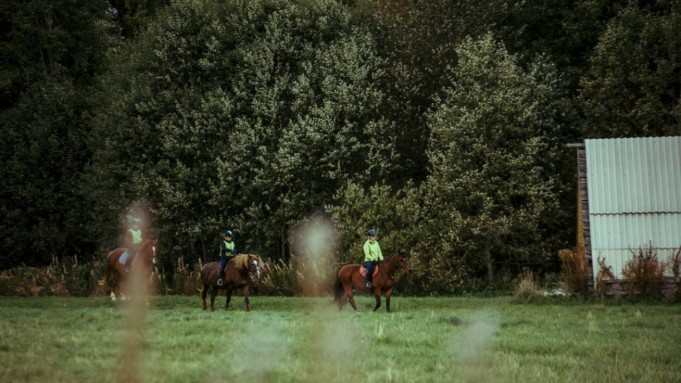Horseback Riding in Estonia - Best Season