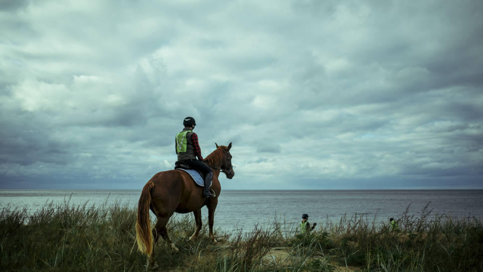 Horseback Riding in Estonia - Best Time