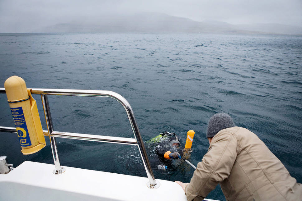 Diving in Faroe Islands - Best Time