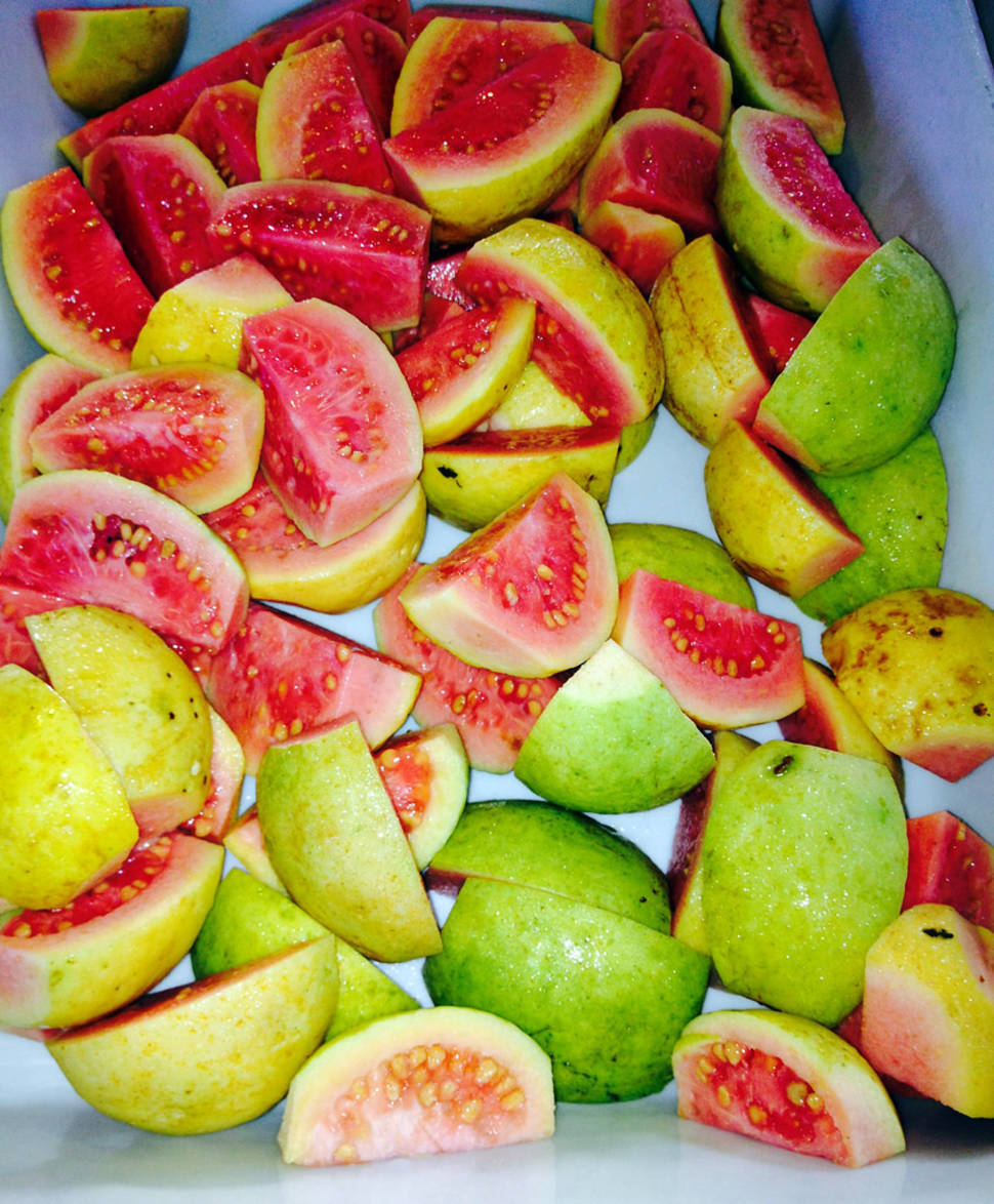 Guava Season in Fiji - Best Time