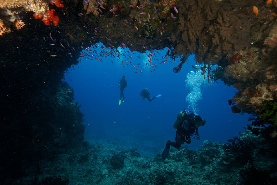 Scuba Diving in Fiji - Best Time