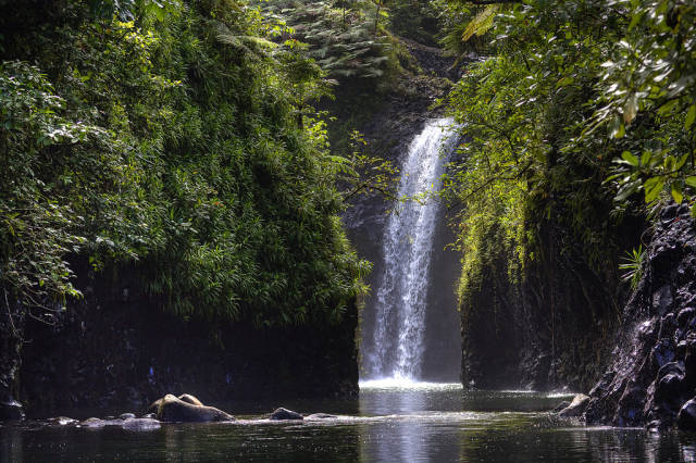 Best time for Taveuni Island in Fiji