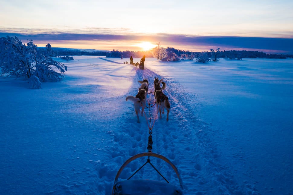 Best time for Dog Sledding in Finland