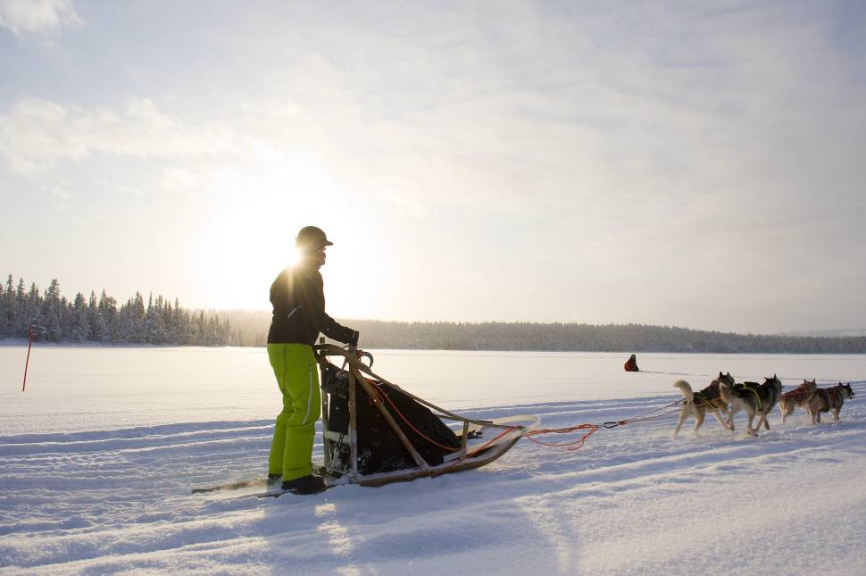 Dog Sledding in Finland - Best Time