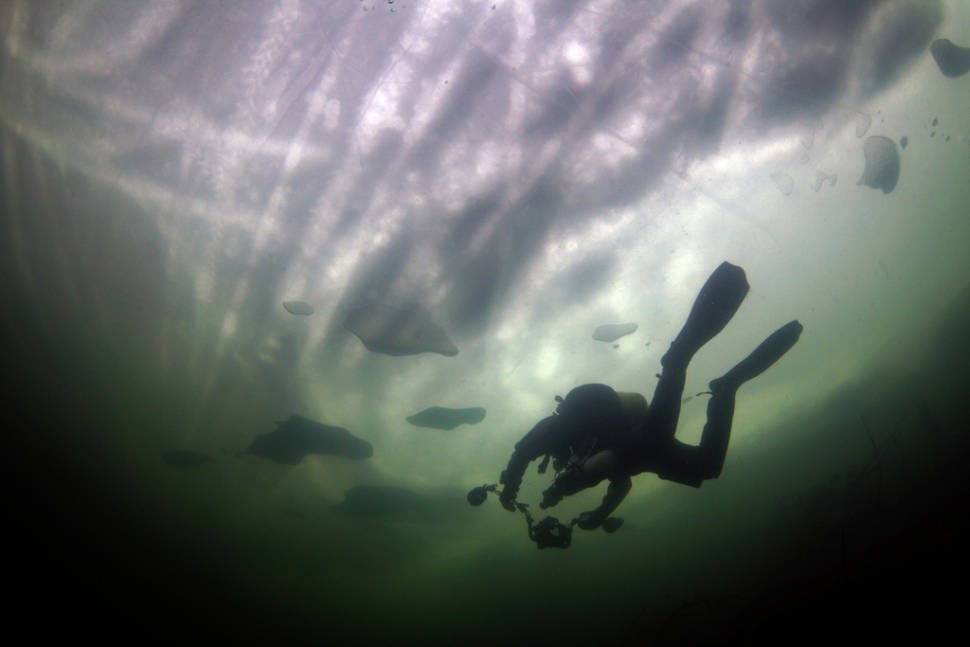 Best time for Ice Diving in Finland