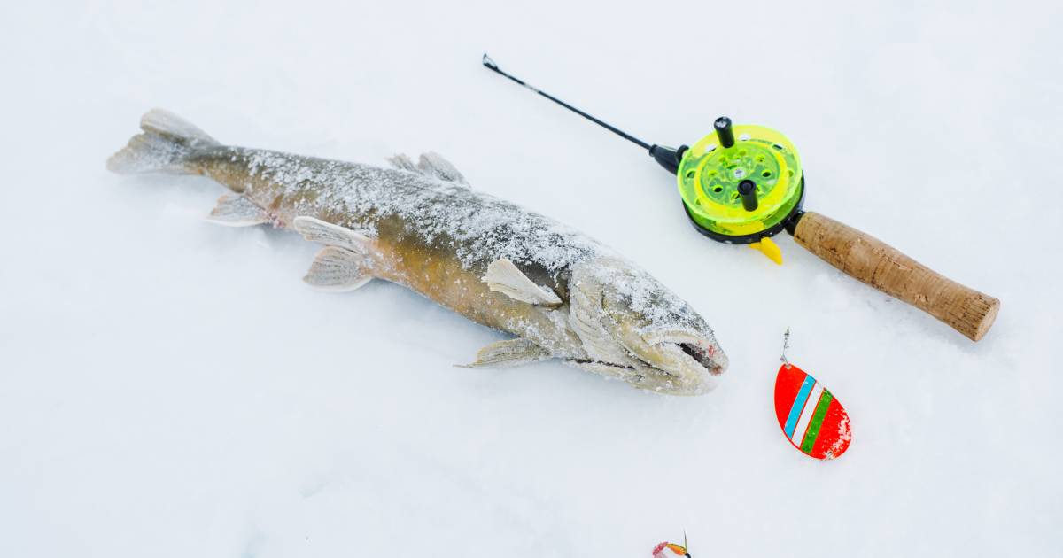 Ice Fishing in Finland - Best Time