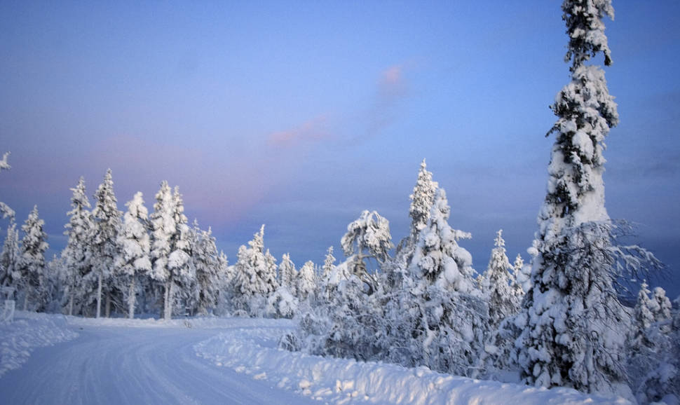 Kaamos in Finnish Lappland