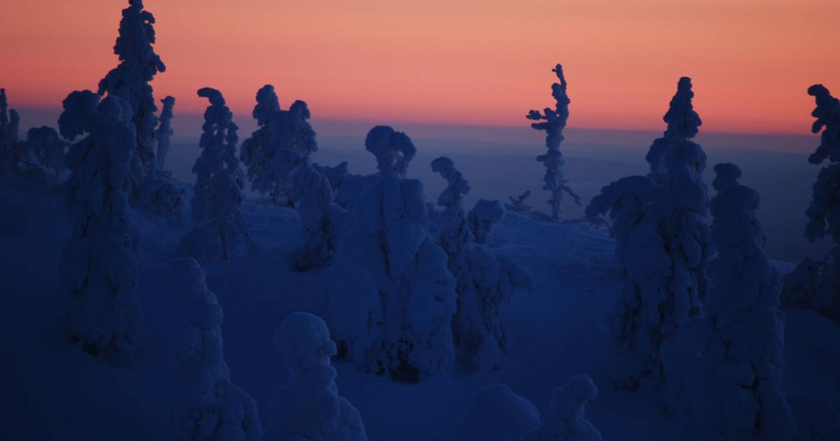 Kaamos: the Polar Night in Finland - Best Time