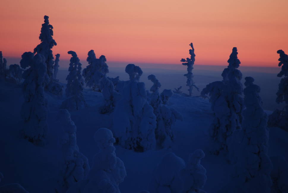 Kaamos: the Polar Night in Finland - Best Time