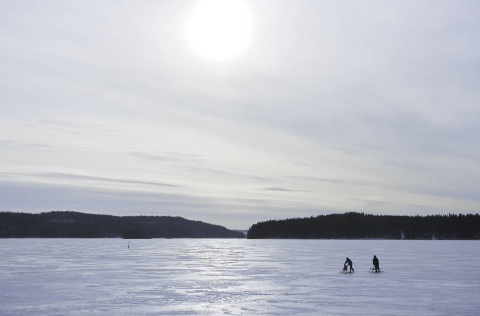 Best time to see Kicksledding in Finland