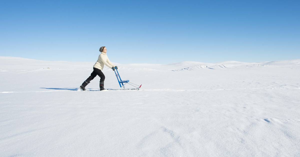 Kicksledding in Finland - Best Time