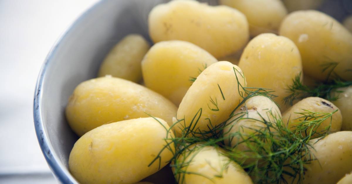 New Potato Obsession in Finland - Best Time