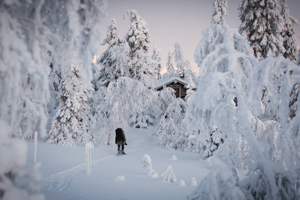 Riisitunturi National Park