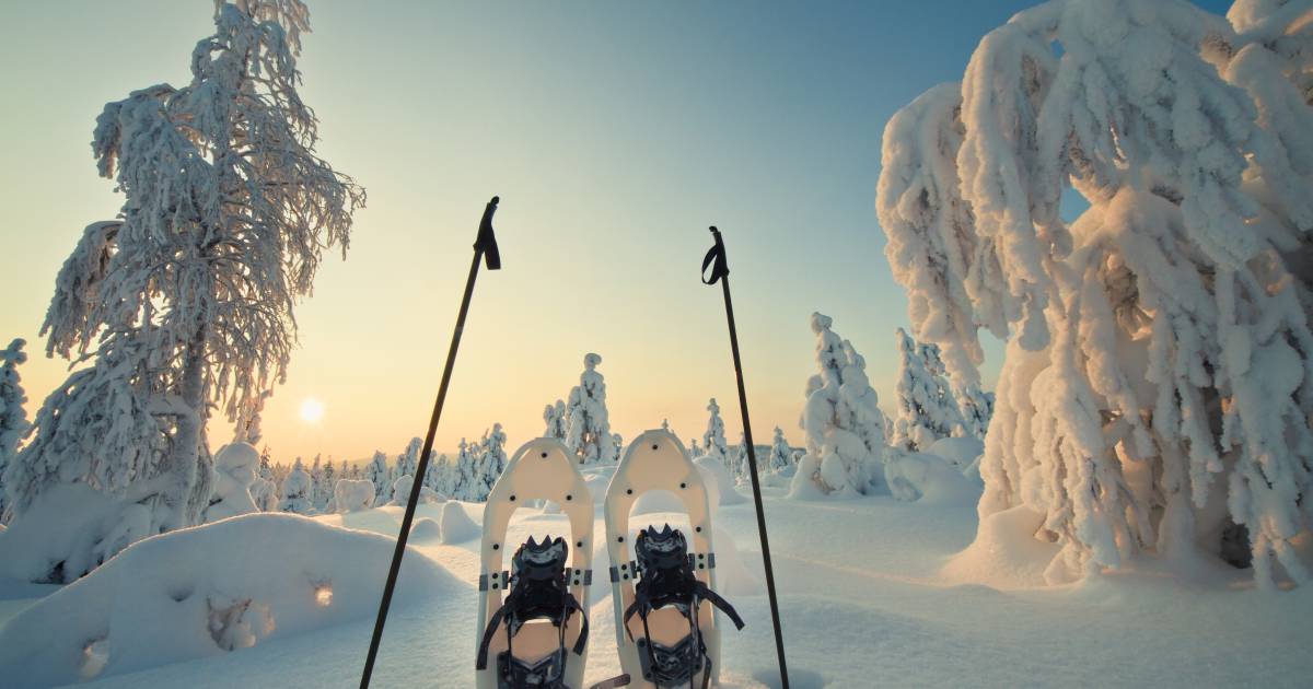 Snowshoeing in Finland - Best Time