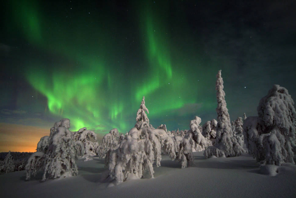 Best time for Tykky in Riisitunturi National Park in Finland