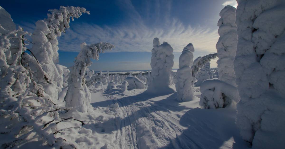 Best Time to See Tykky in Riisitunturi National Park, Finland 2019