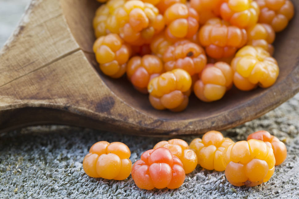 Cloudberries