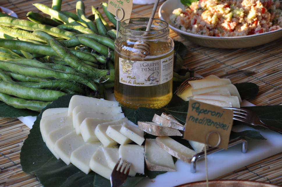 Sienese Pecorino in Florence - Best Time