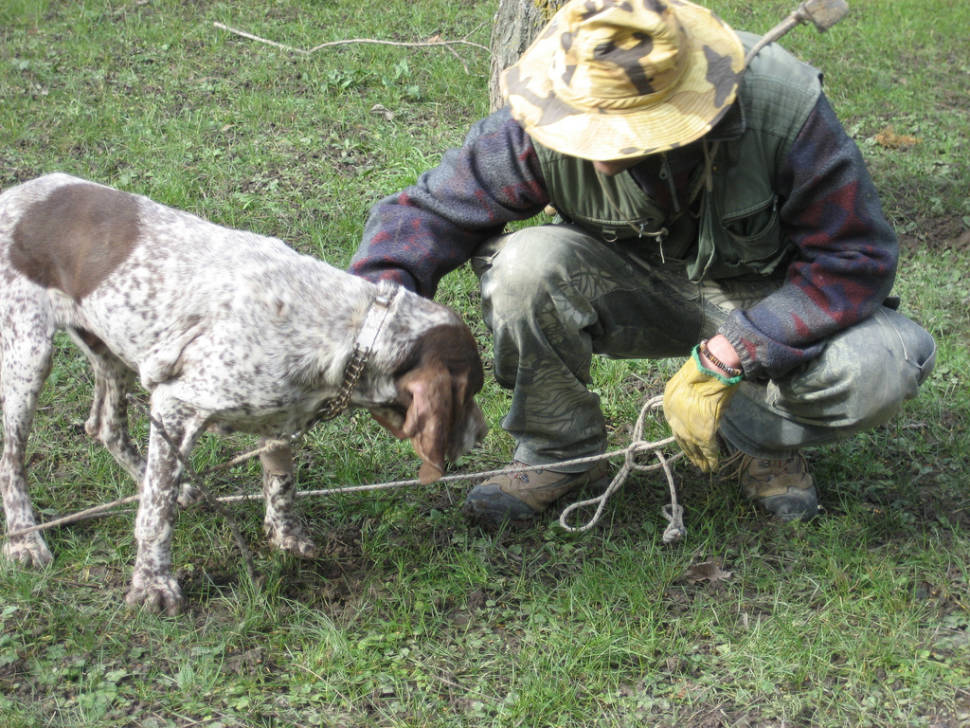 Truffle Hunting in Florence - Best Season
