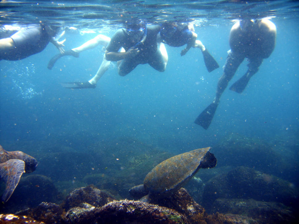 Best Diving Experience in Galapagos Islands - Best Season