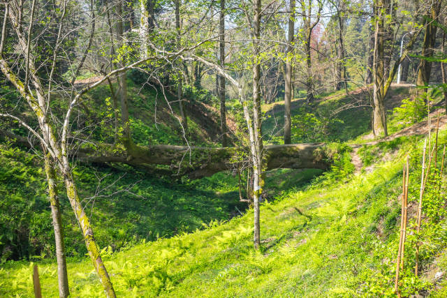 Spring in Georgia - Best Season
