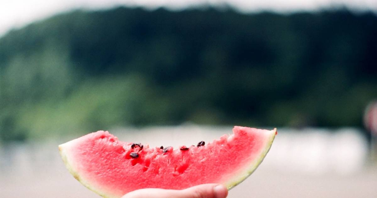 Watermelon in Georgia - Best Time