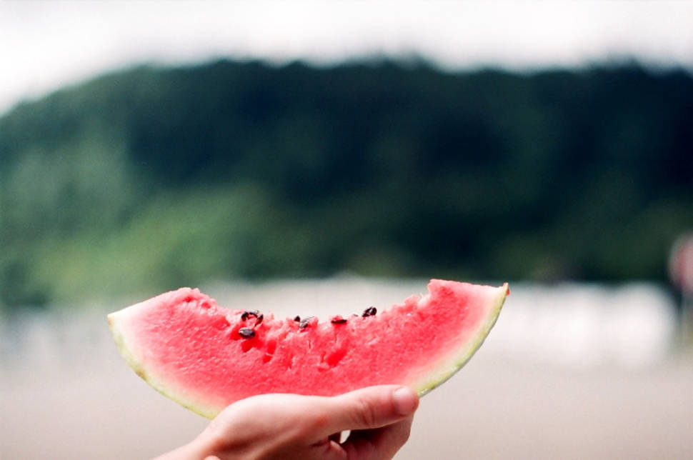 Watermelon in Georgia - Best Time