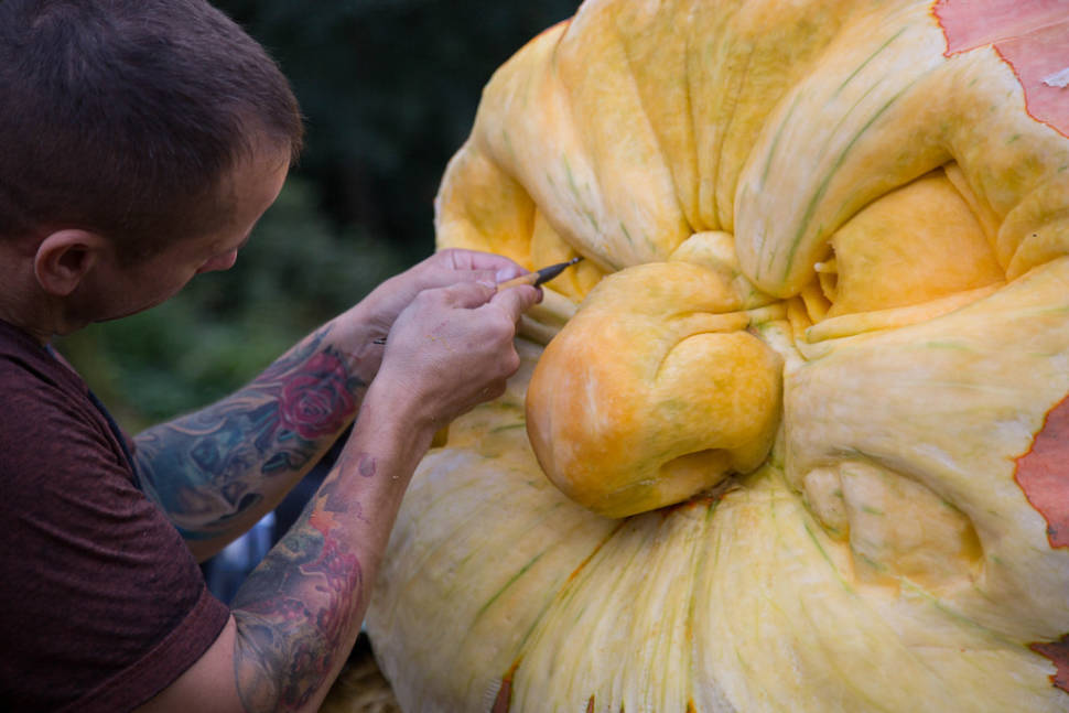 Ludwigsburg Pumpkin Festival in Germany - Best Season