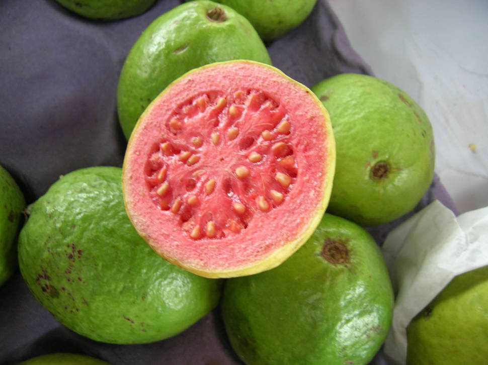 Guava in Goa - Best Time