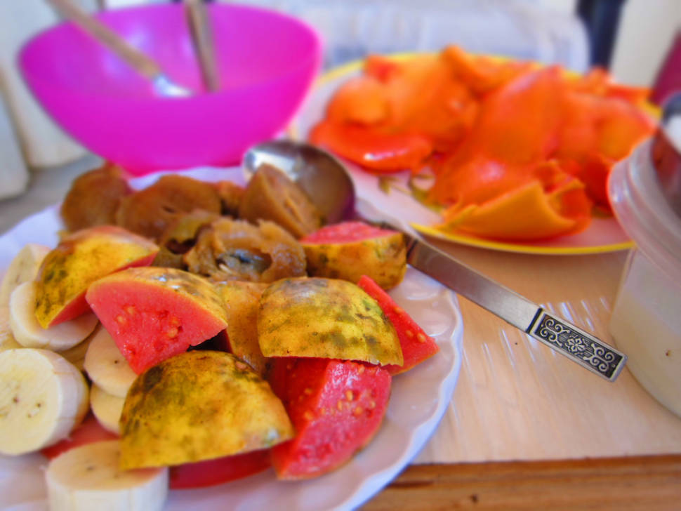Guava in Goa - Best Season