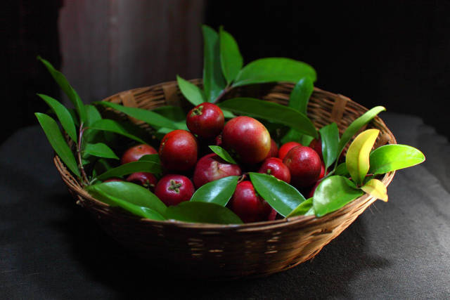 Kokum in Goa - Best Season