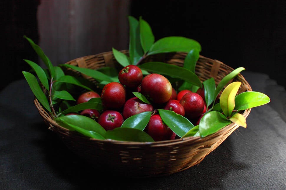 Kokum in Goa - Best Season