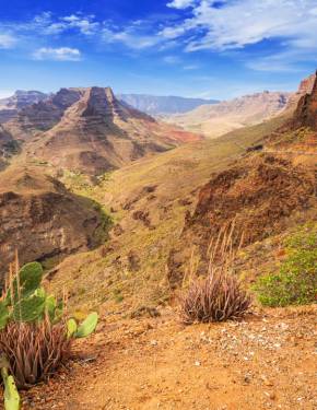 Best time to visit Gran Canaria