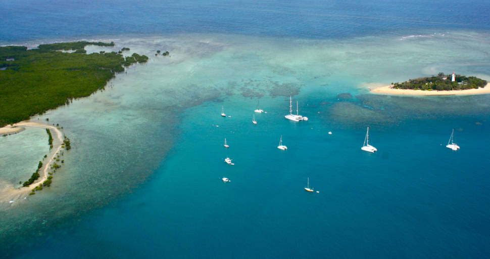 Best time for Coral Polyps Spawn in Great Barrier Reef