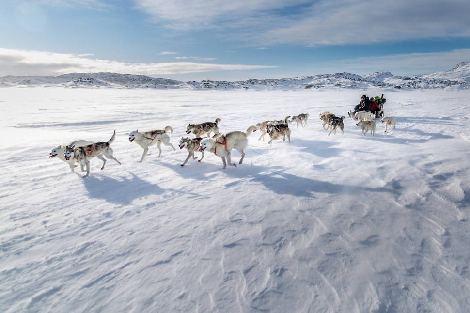 Best time for Dog Sledding in Greenland
