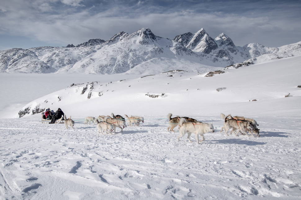Dog Sledding in Greenland - Best Season