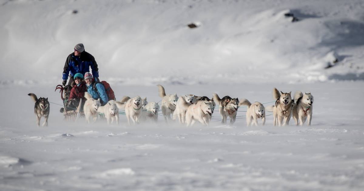 Dog Sledding in Greenland - Best Time