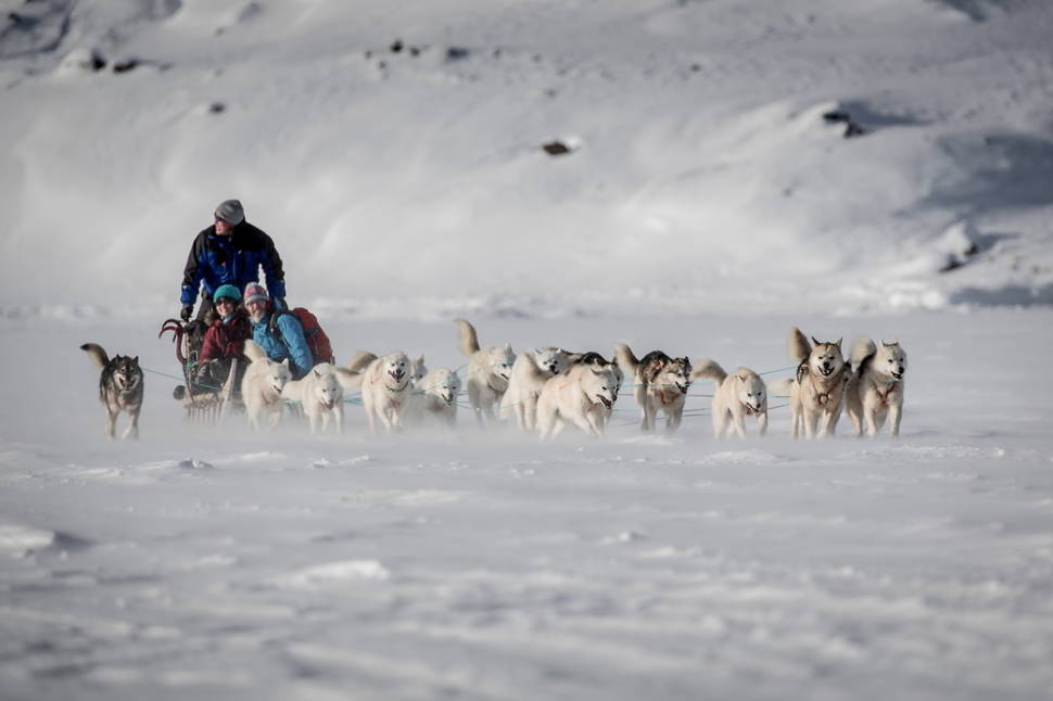 Dog Sledding in Greenland - Best Time