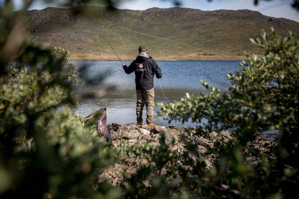 Fly fishing in the south of Greenland