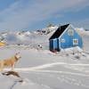 Beste Reisezeit Grönland