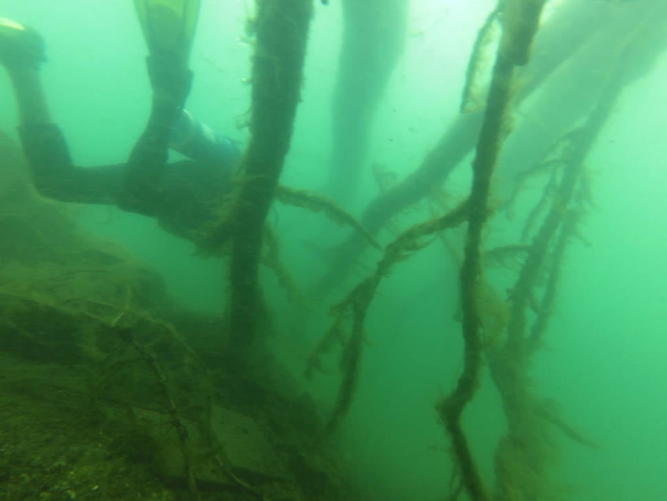 Making a way through some sunken tree branches in the Lake Atitlán