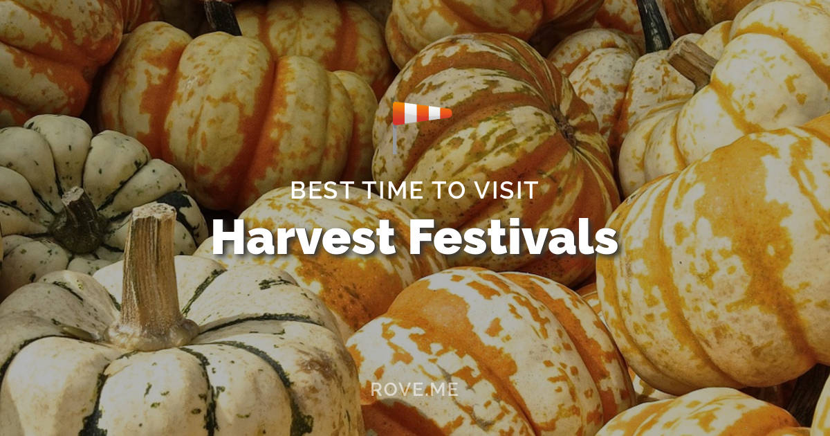Harvest Festivals 2020 Rove.me