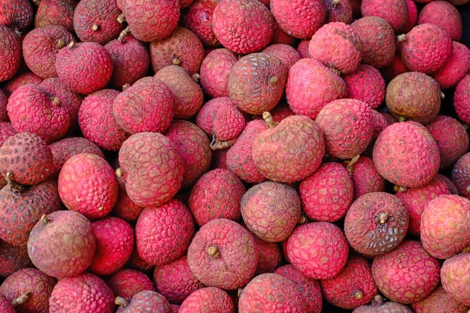 Lychee in Hawaii - Best Time