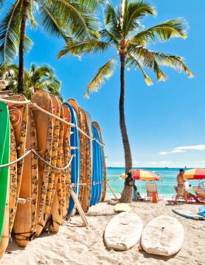 hawaii monarch merrie festival states united