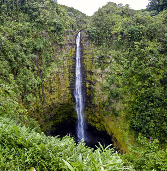 Best time for Ziplining in Hawaii