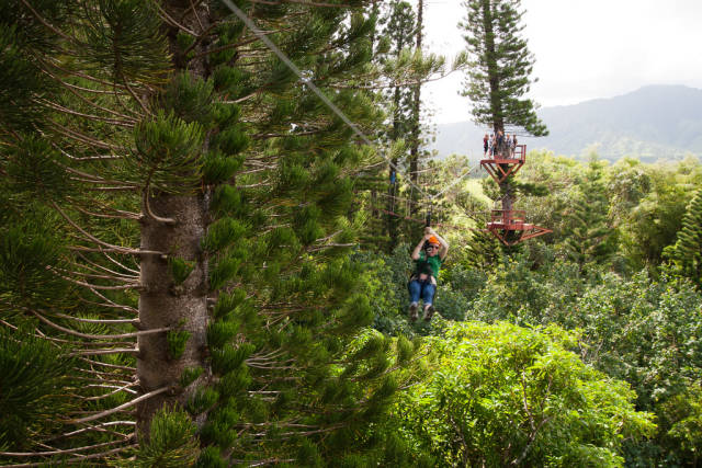 Best time to see Ziplining in Hawaii