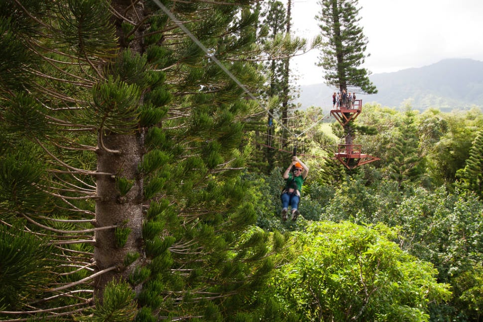 Best time to see Ziplining in Hawaii